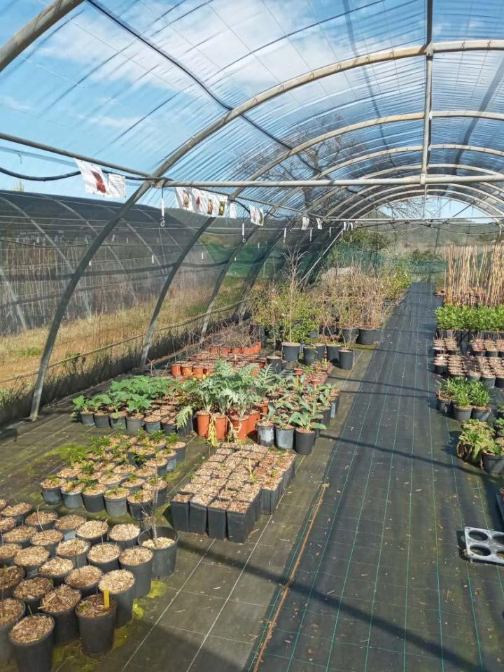 Plants pour potagers Hyères