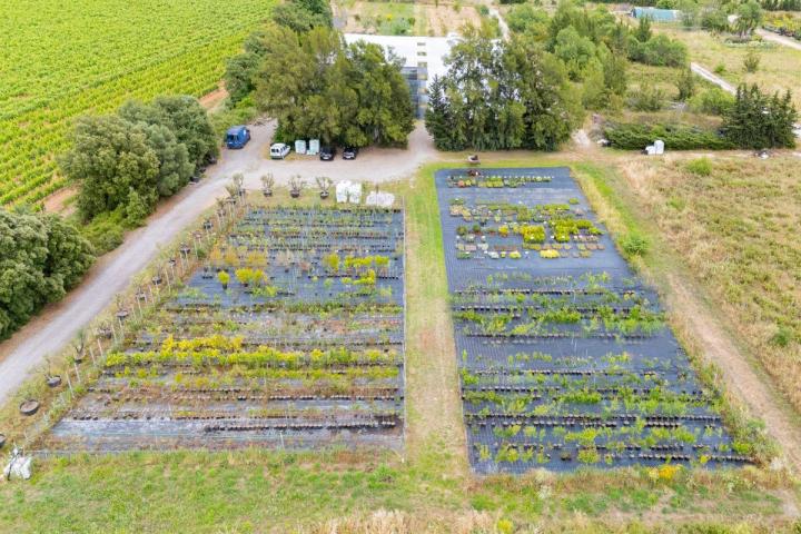 Vente de fruitiers Hyères