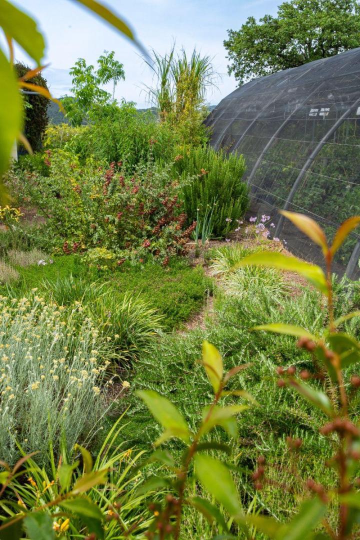Plants pour potagers Hyères
