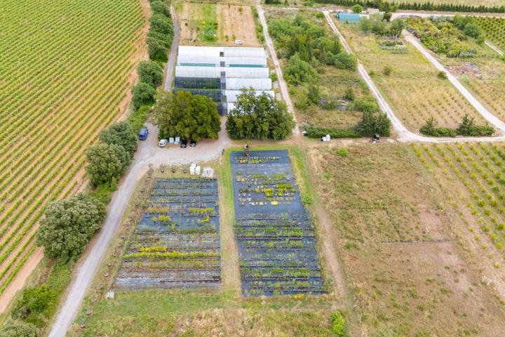Vente de fruitiers Hyères