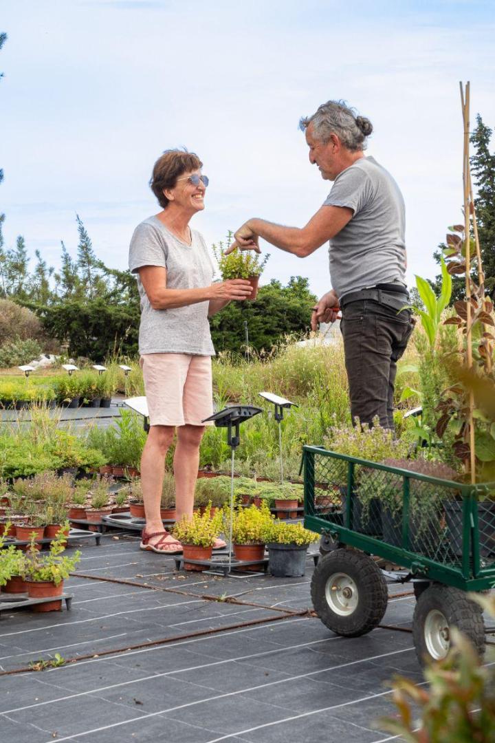 Plants pour potagers Hyères