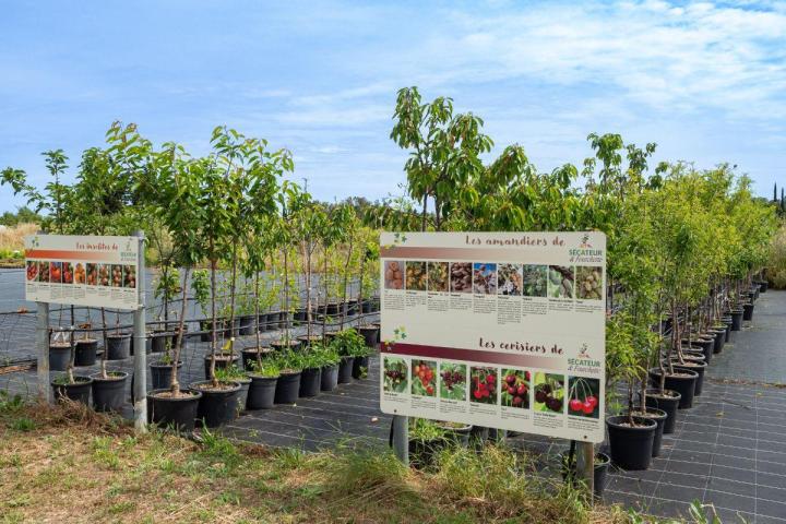 Vente de fruitiers Hyères