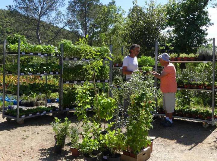 Vente de fruitiers Hyères